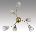Люстра на штанге Lumion Comfi Imana 8154/6C