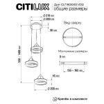 Подвесная люстра Citilux Дуэт CL719030