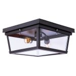 Потолочный светильник LOFT IT Modern filament Loft3110-2C