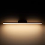 Подсветка для зеркал Elektrostandard Protect LED белый MRL LED 1111 4690389169762