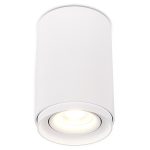 Накладной светильник Simple Story 2065-1CLW