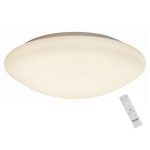 Потолочный светильник Omnilux Berkeley OML-43007-40