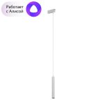 Трековый светильник Denkirs Smart DK8008-WH