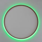 Накладной светильник Citilux Etalon CL750500R