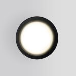 Уличный потолочный светильник Elektrostandard Light 4690389175916