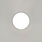 Накладной светильник Citilux Борн CL745011N