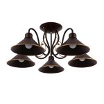 Потолочный светильник EVOLUCE CIOLLA SLE120402-05