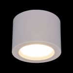 Потолочный светодиодный светильник Elektrostandard DLR026 6W 4200K белый матовый 4690389120671