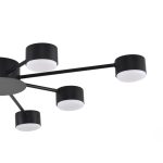 Потолочная люстра Lumion Comfi Torina 8344/8C