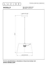 Подвесной светильник Lucide Woolly 10416/01/66