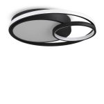 Потолочный светильник Freya Nation Market FR10028CL-L80B