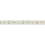 Светодиодная лента Arlight RT-B120-15mm 24V Warm3000 (28.8 W/m, IP20, 5060, 5m) 028654(2)