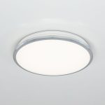 Потолочный светодиодный светильник Citilux Луна CL702221N