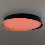 Потолочный светильник Citilux Bonny CL754451G