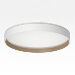 Накладной светильник Citilux Etalon CL750320R