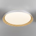 Потолочный светильник Citilux Mega CL752452G