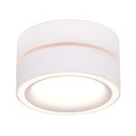 Накладной светильник Feron HL455 48752