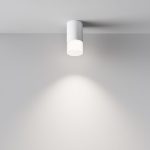 Потолочный светильник Maytoni Pauline C007CW-01W