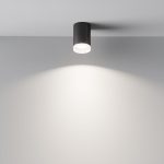 Потолочный светильник Maytoni Pauline C008CW-01B