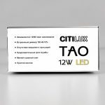 Подвесной светильник Citilux Тао CL712S120N