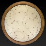 Настенно-потолочный светодиодный светильник Toplight Karissa TL9650Y-00OA