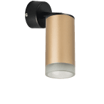 Встраиваемый спот Lightstar Rullo RB44030 (214440+590007+202430)