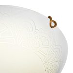 Настенно-потолочный светильник Sonex Ammonite 7602/DL