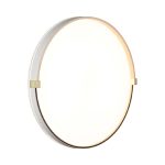 Настенно-потолочный светильник Sonex Olidi white 7646/DL