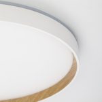 Потолочный светильник Citilux Etalon CL750400R