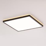 Потолочный светильник Citilux Norma CL748K401