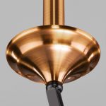 Подвесная люстра Eurosvet 60098/5 черный