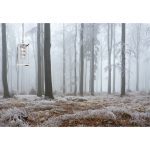 Подвесной светильник Simple Story 1095-1PL