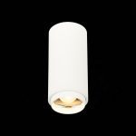 Потолочный светильник ST Luce Zoom ST600.532.10