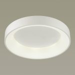 Потолочный светодиодный светильник Odeon Light Sole 4062/50CL