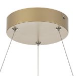 Подвесная люстра Citilux Eva CL210132