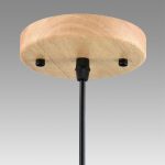 Подвесной светильник Lumion Suspentioni Mirabela 8051/1A