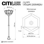 Парковый светильник Citilux Forts CLU10P3