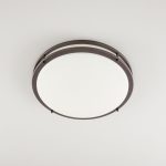 Настенно-потолочный светильник Citilux Бостон CL709505N