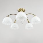 Потолочная люстра Citilux Франческа CL417153