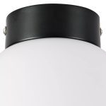 Потолочный светильник Lightstar Globo 812017