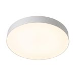 Потолочный светильник Citilux Bart CL755490