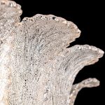 Подвесная люстра Modelux premium ML.6550.17P