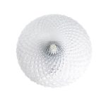 Настенно-потолочный светильник Elvan NLS-509R/1-E27-Cl