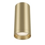 Потолочный светильник Maytoni Focus C010CL-01MG