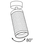 Потолочный светильник Maytoni Alfa C034CL-01B