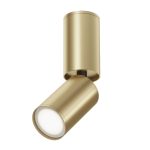 Спот Maytoni FOCUS S C051CL-01G