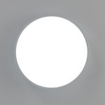 Потолочный светильник Citilux Купер CL72424V0