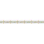 Светодиодная лента Arlight RT-A240-10mm 24V Warm2700 (19.2W/m, IP20, 3528, 5m) 017428(1)