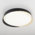 Потолочный светильник Citilux Bonny CL754351G