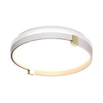 Настенно-потолочный светильник Sonex Olidi white 7646/CL